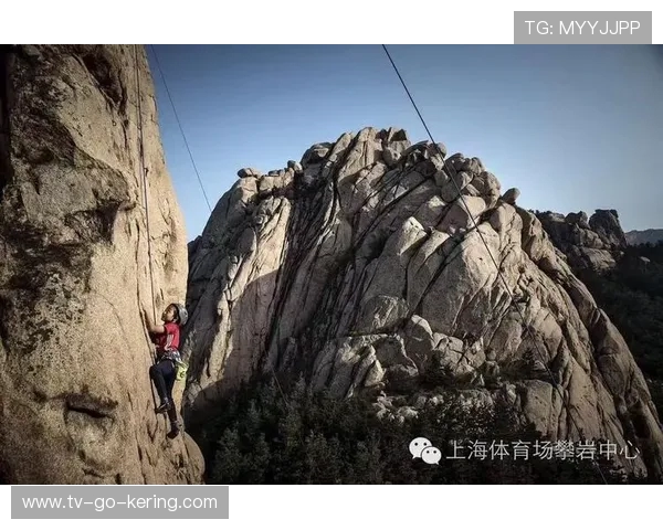 上海攀岩队战术之争引发热议专家观点各异引人关注